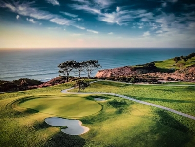 You will be shocked by how much money these popular public courses rake in